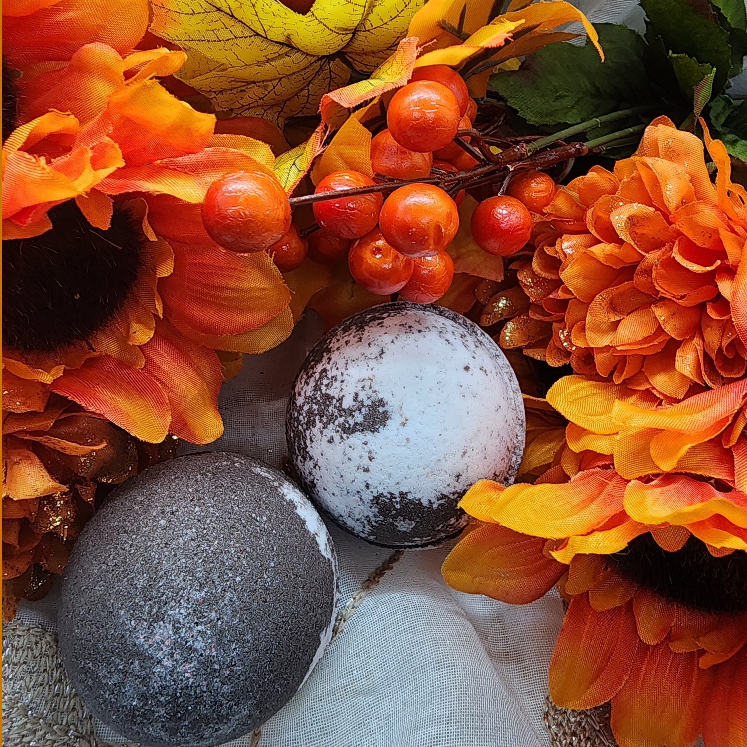 Autumn - Image 4